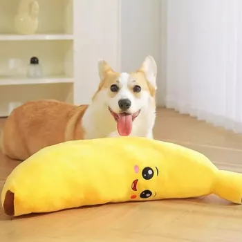 Best Chew Toy for Puppies: Safe Teething Picks